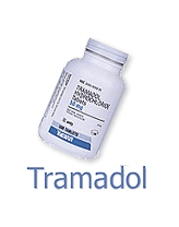 What would happen if a human took tramadol